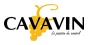 Cavavin