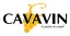 Cavavin
